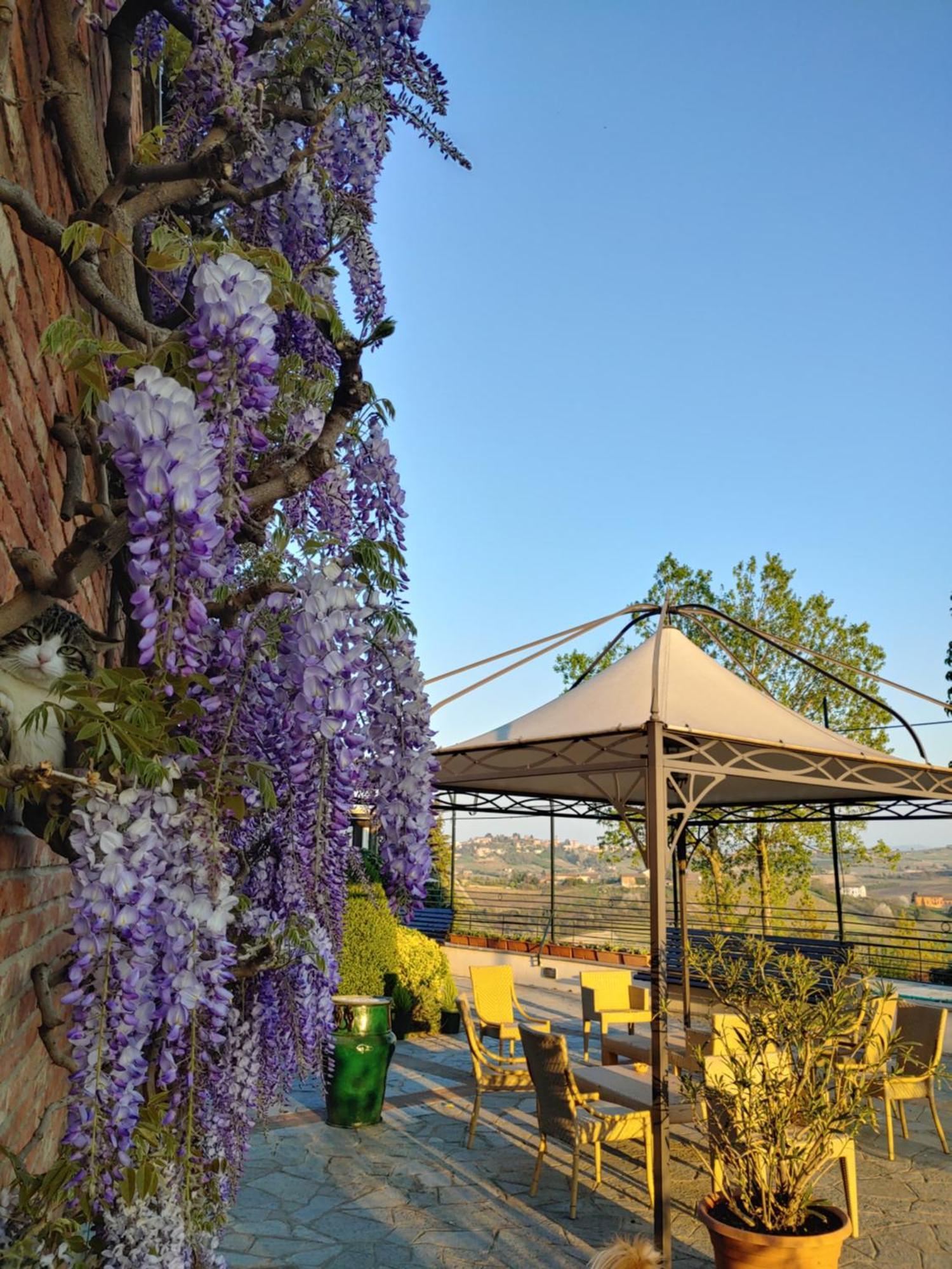 Locanda Del Boscogrande Montegrosso dʼAsti Quarto foto